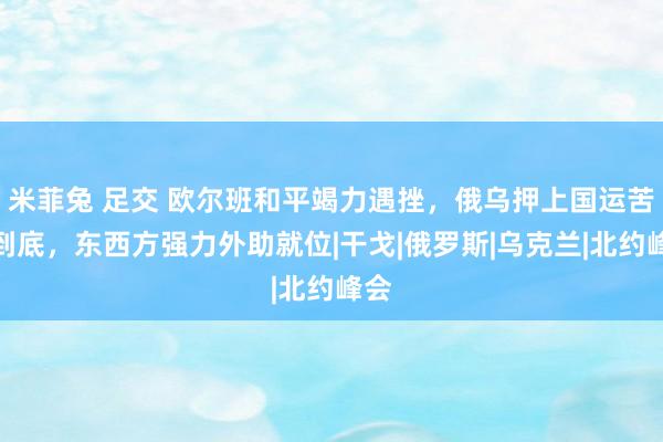 米菲兔 足交 欧尔班和平竭力遇挫，俄乌押上国运苦战到底，东西方强力外助就位|干戈|俄罗斯|乌克兰|北约峰会