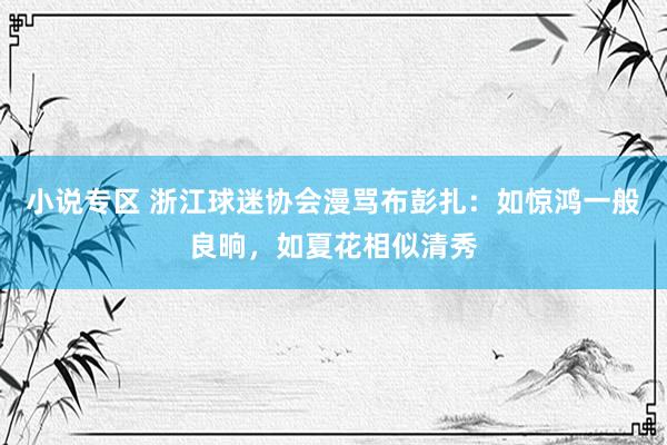小说专区 浙江球迷协会漫骂布彭扎：如惊鸿一般良晌，如夏花相似清秀