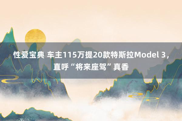 性爱宝典 车主115万提20款特斯拉Model 3，直呼“将来座驾”真香