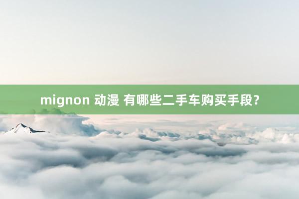 mignon 动漫 有哪些二手车购买手段？