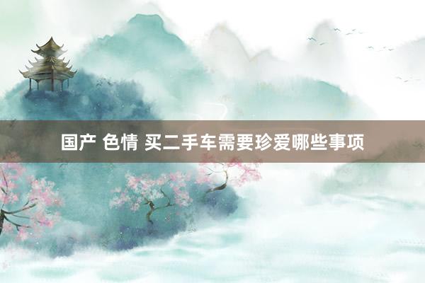 国产 色情 买二手车需要珍爱哪些事项