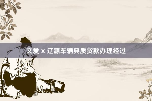 文爱 x 辽源车辆典质贷款办理经过