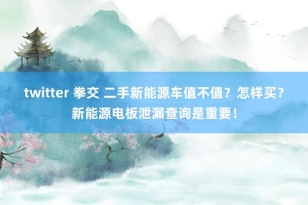 twitter 拳交 二手新能源车值不值？怎样买？新能源电板泄漏查询是重要！