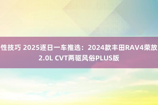 性技巧 2025逐日一车推选：2024款丰田RAV4荣放2.0L CVT两驱风俗PLUS版