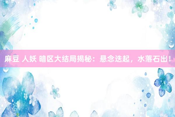 麻豆 人妖 暗区大结局揭秘：悬念迭起，水落石出！