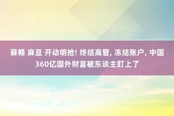 蘇暢 麻豆 开动明抢! 终结高管, 冻结账户, 中国360亿国外财富被东谈主盯上了