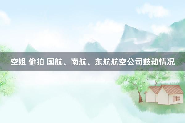 空姐 偷拍 国航、南航、东航航空公司鼓动情况
