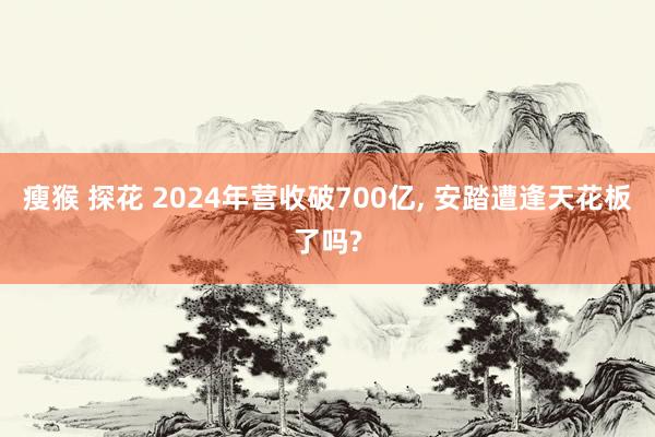 瘦猴 探花 2024年营收破700亿, 安踏遭逢天花板了吗?