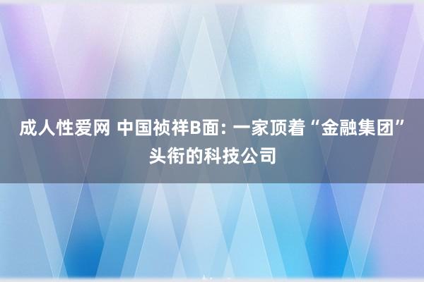 成人性爱网 中国祯祥B面: 一家顶着“金融集团”头衔的科技公司