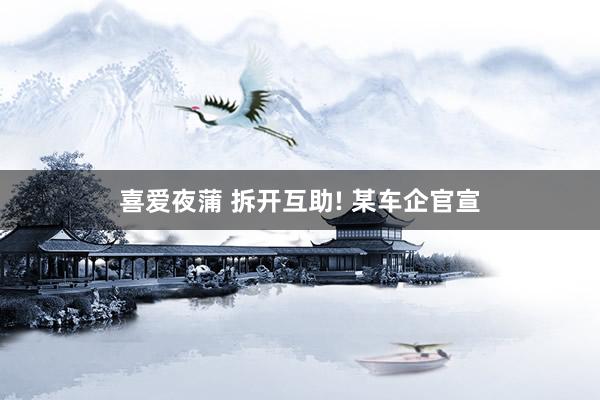 喜爱夜蒲 拆开互助! 某车企官宣