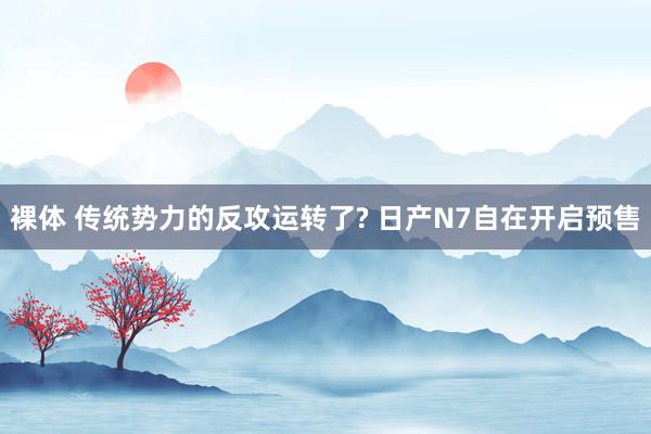 裸体 传统势力的反攻运转了? 日产N7自在开启预售