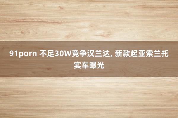 91porn 不足30W竞争汉兰达, 新款起亚索兰托实车曝光