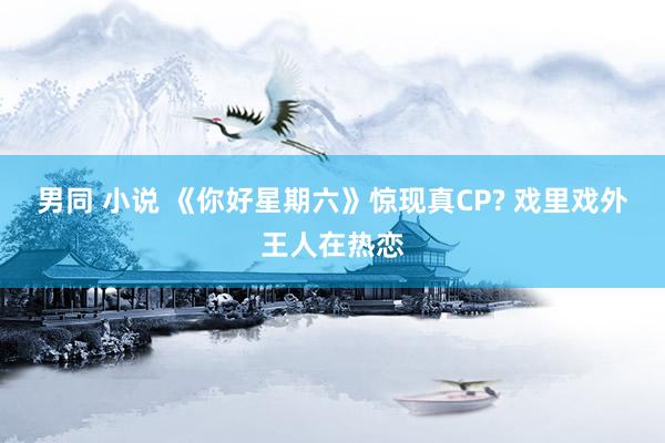 男同 小说 《你好星期六》惊现真CP? 戏里戏外王人在热恋