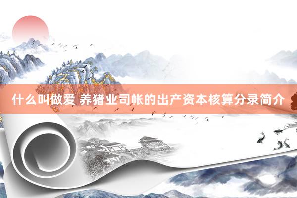 什么叫做爱 养猪业司帐的出产资本核算分录简介