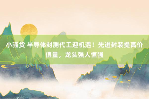 小骚货 半导体封测代工迎机遇！先进封装提高价值量，龙头强人恒强
