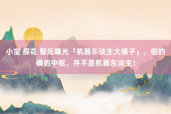 小宝 探花 智元曝光「机器东谈主大模子」，但的确的中枢，并不是机器东谈主！