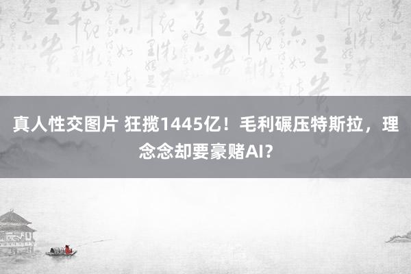 真人性交图片 狂揽1445亿！毛利碾压特斯拉，理念念却要豪赌AI？
