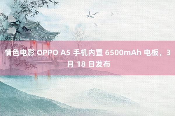 情色电影 OPPO A5 手机内置 6500mAh 电板，3 月 18 日发布