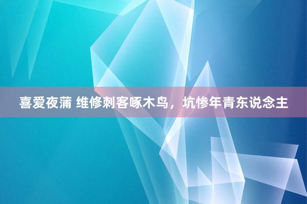 喜爱夜蒲 维修刺客啄木鸟，坑惨年青东说念主